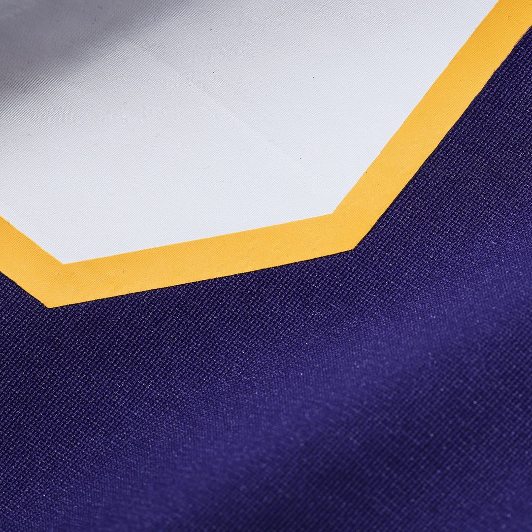 Randy Moss Minnesota Vikings Classic Retired Player Game Jersey - Purple
